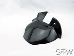 Carbon glanz Spritzschutz Schutzblech hinten für Buell XB9 XB12 ab Bj. 2006 - STW-Solutions