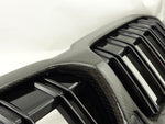 Carbon Frontgrill Nieren Doppelsteg für BMW 3er G20 G21 mit/ohne PASP - STW-Solutions